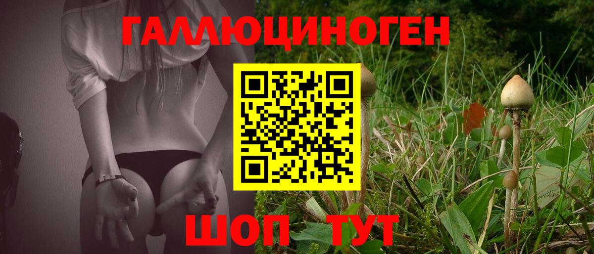 Псилоцибиновые грибы Magic Shrooms Алейск